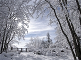 WINTERSE PROBLEMEN?
