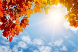 Nieuwsbrief Herfst