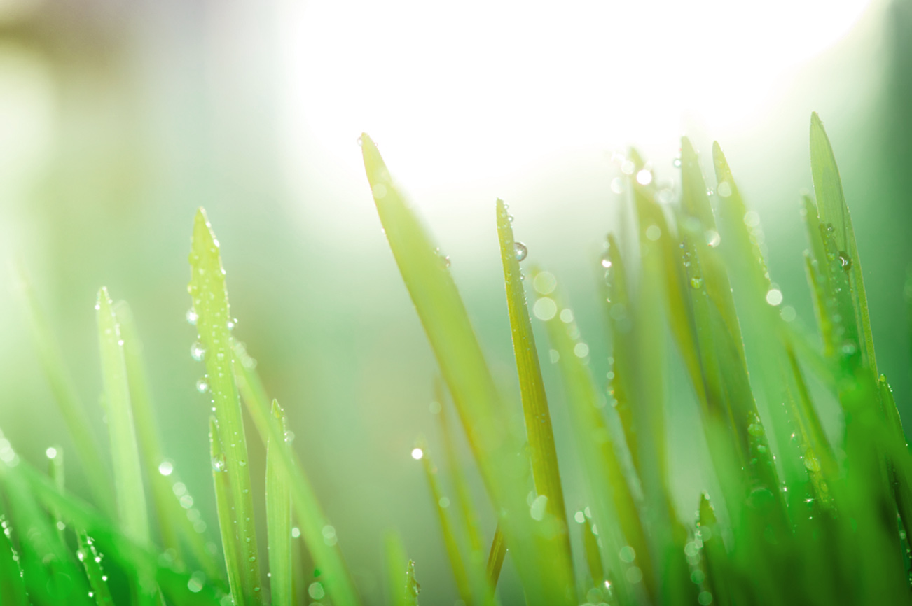 Actie Producten September