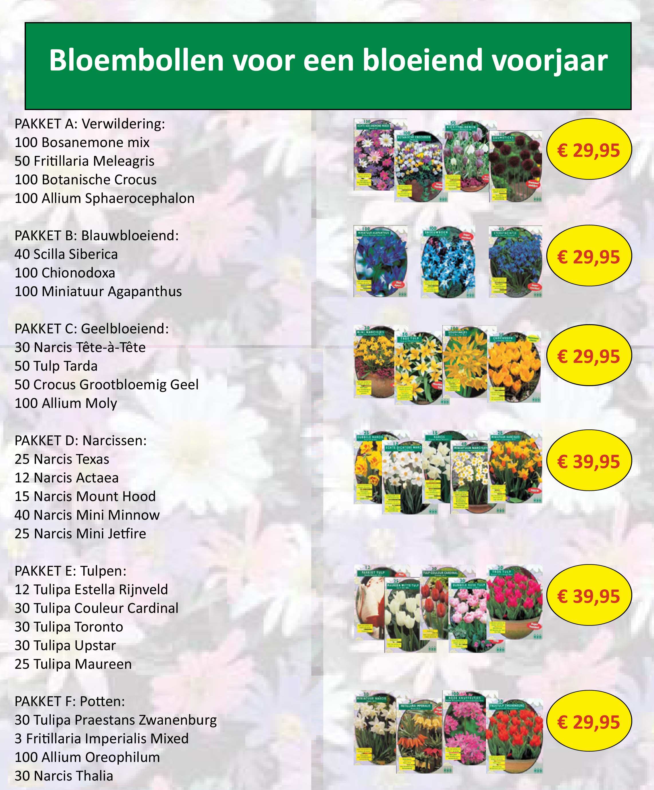 Bloembollen te koop!!