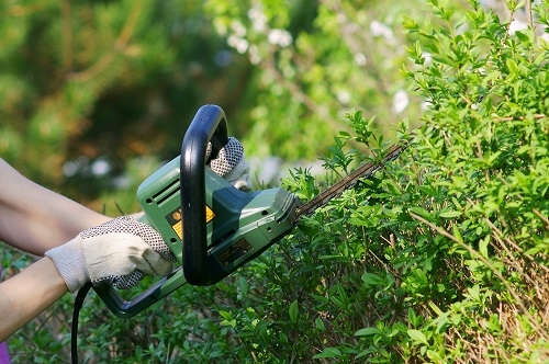 SNOEIEN IN SEPTEMBER, OKTOBER EN NOVEMBER