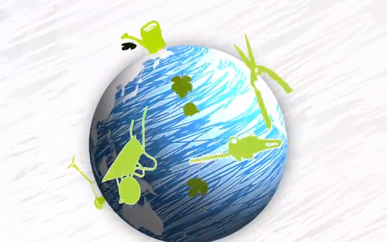 Groene branche in beeld