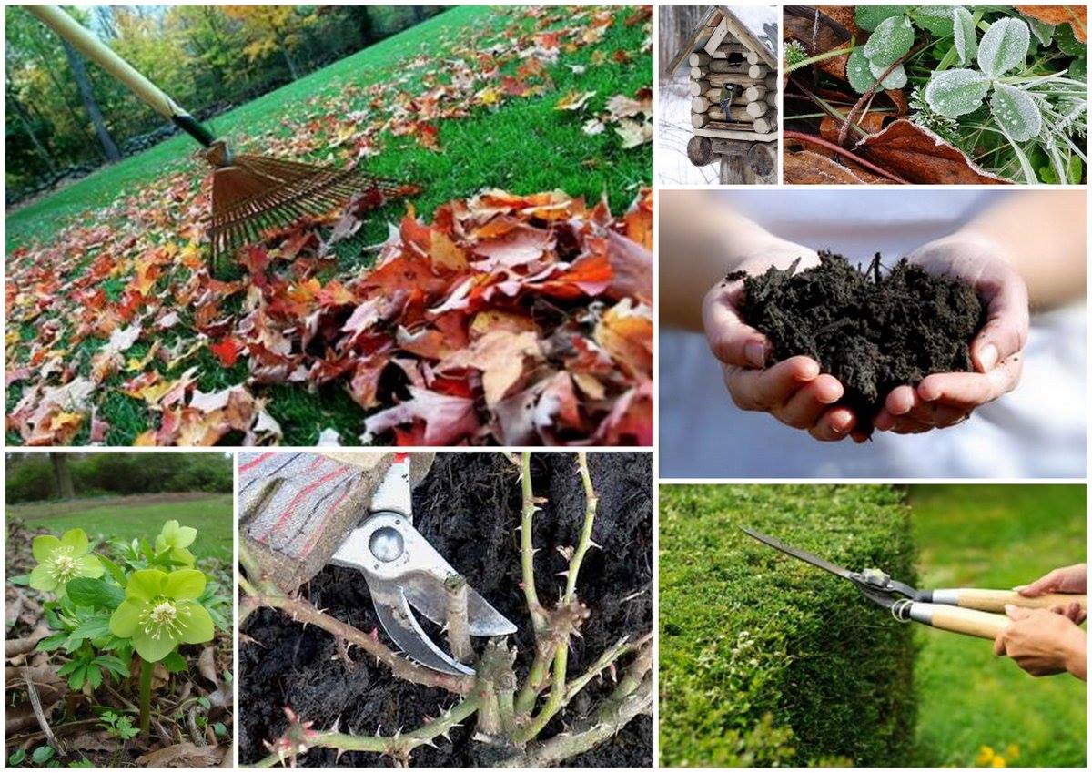 Geef Uw tuin een winterbeurt!