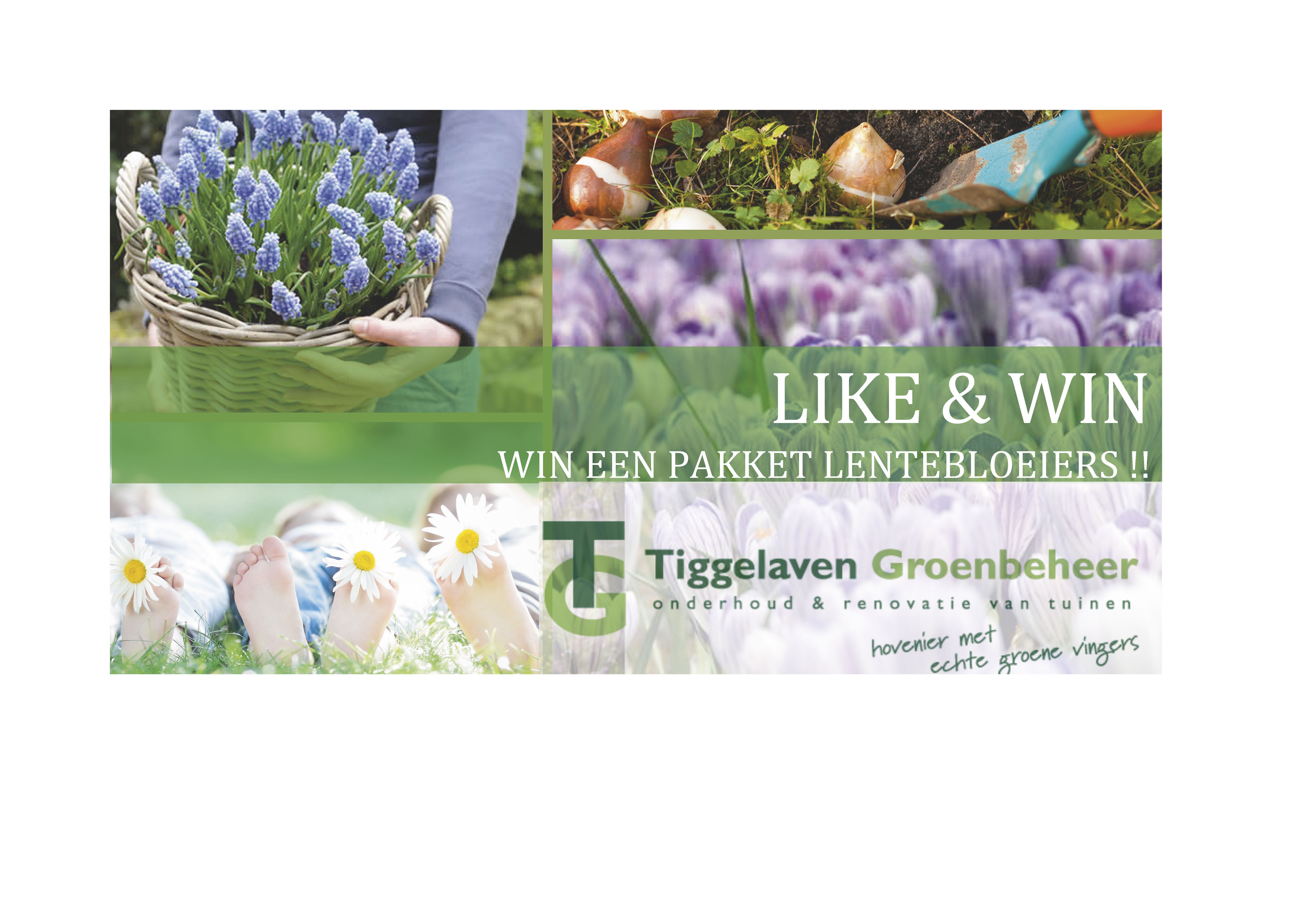 DE LENTE IS IN AANTOCHT.....