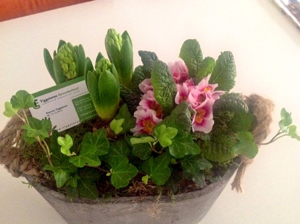 UITREIKING LENTEBLOEIERS PAKKET !!