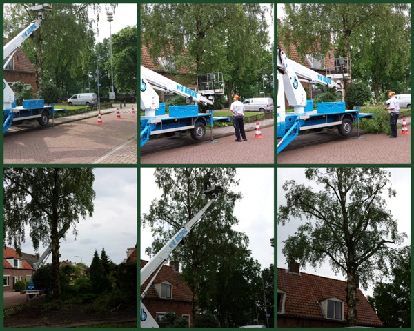 Bomen snoeien met hoogwerker!
