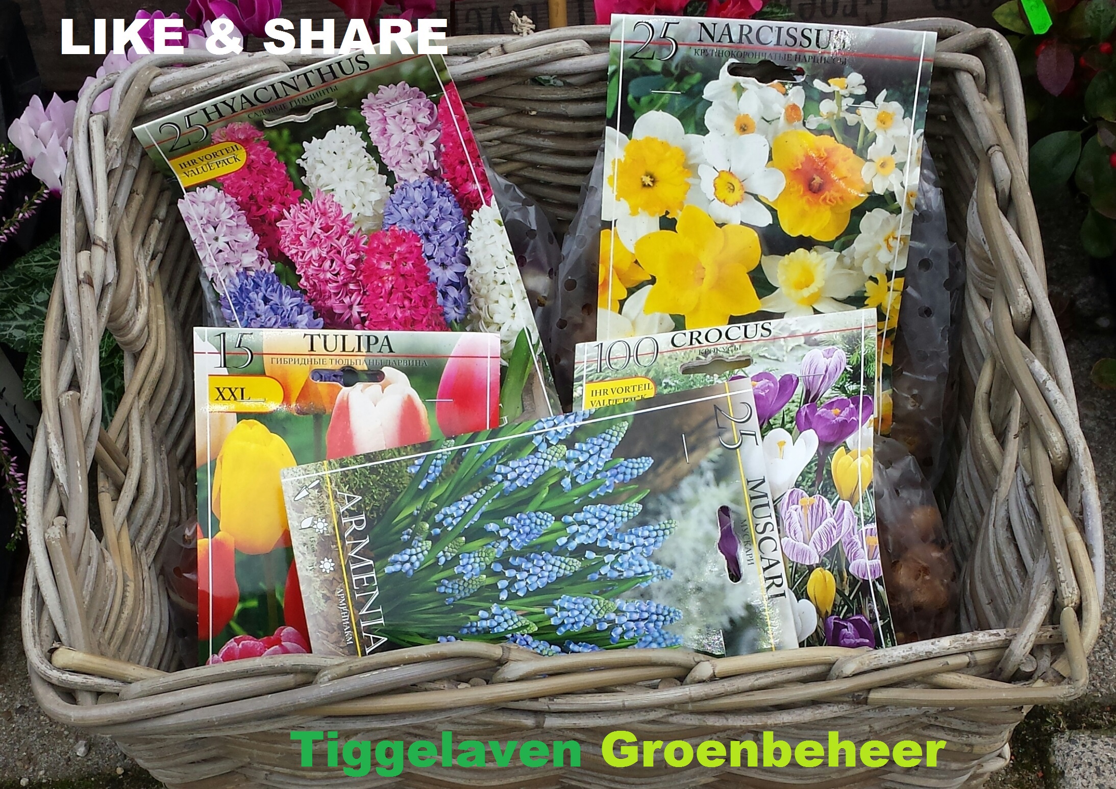 Winnaar Bloembollenpakket!