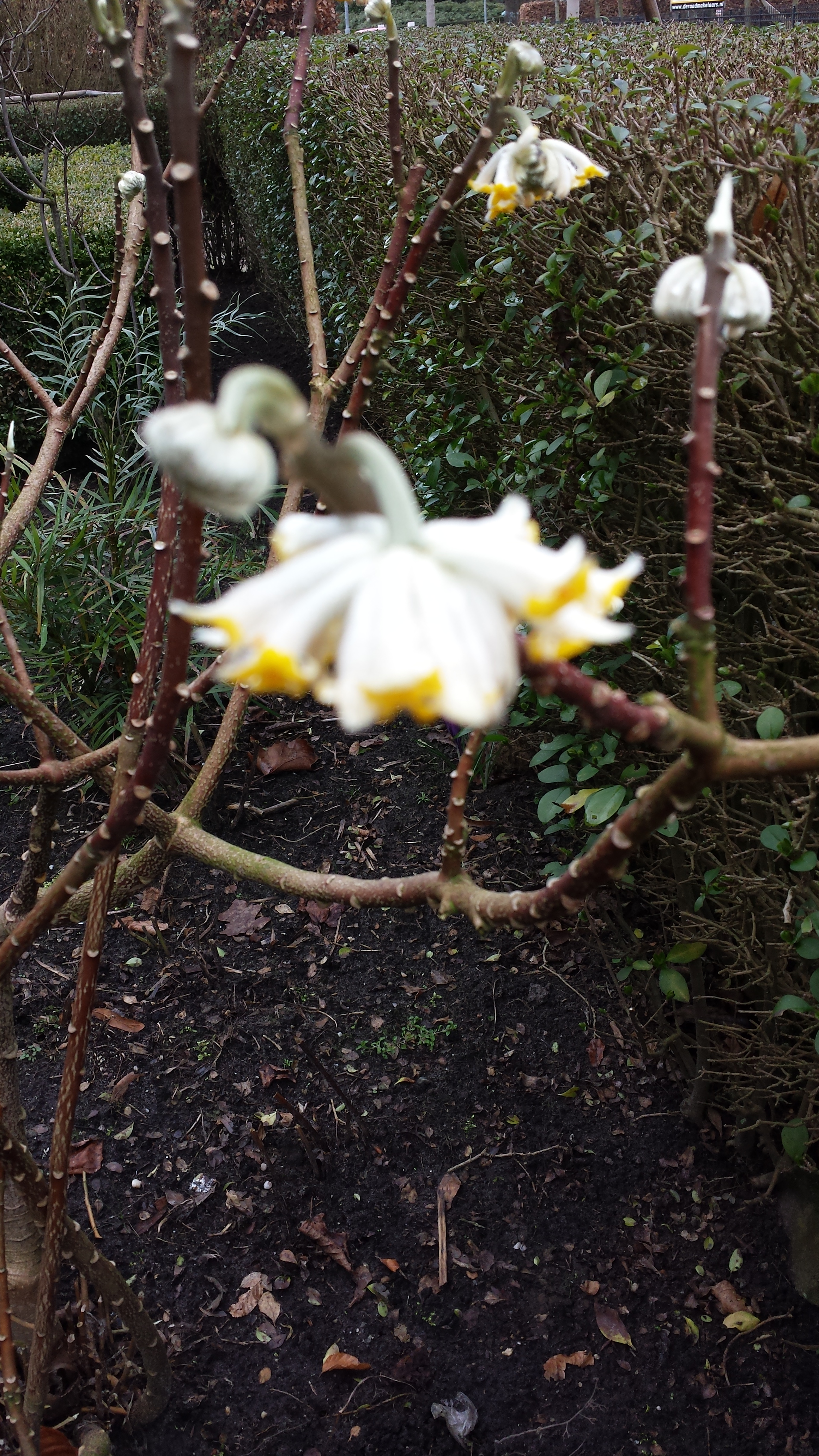 Antwoord prijsvraag!!