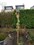 IMG-20180123-WA0006