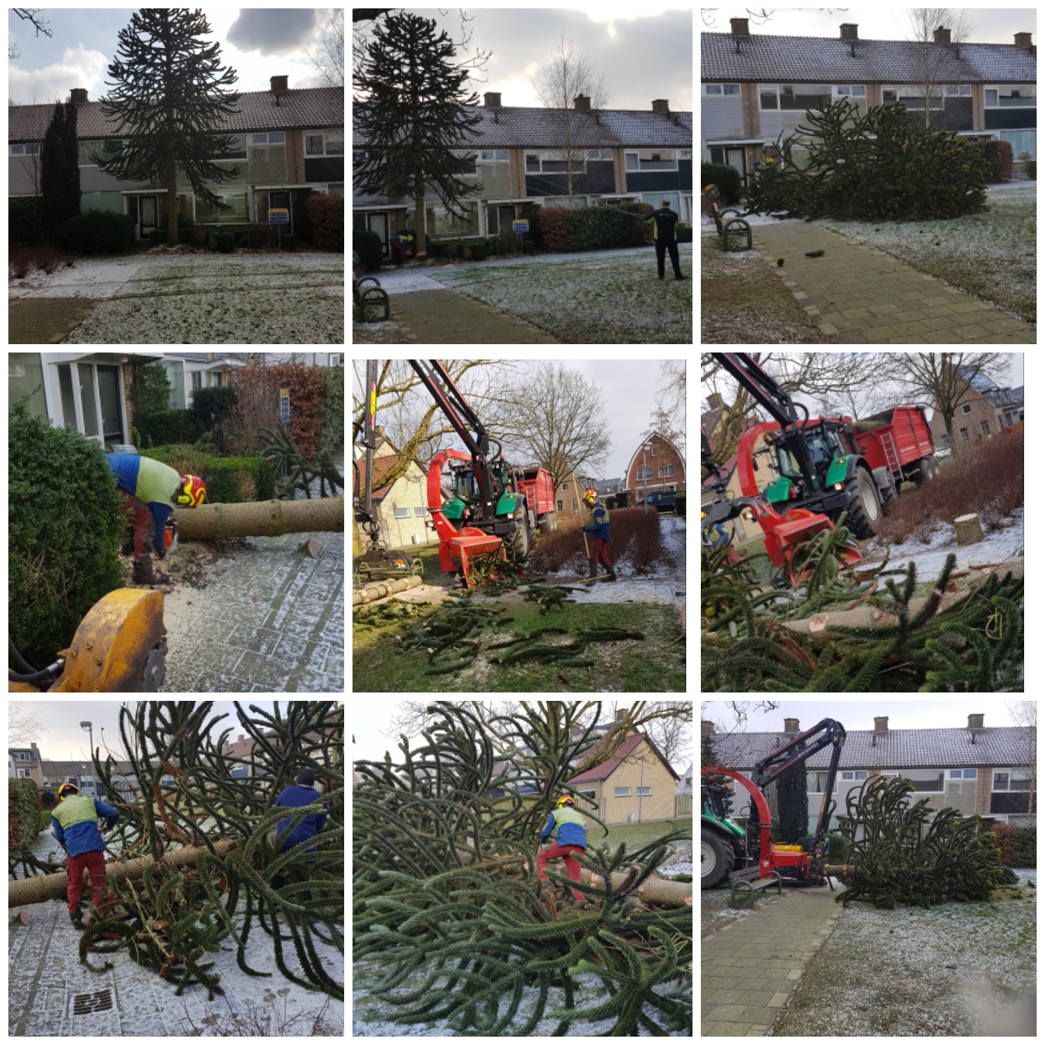 Apenboom weggehaald in Hoevelaken 