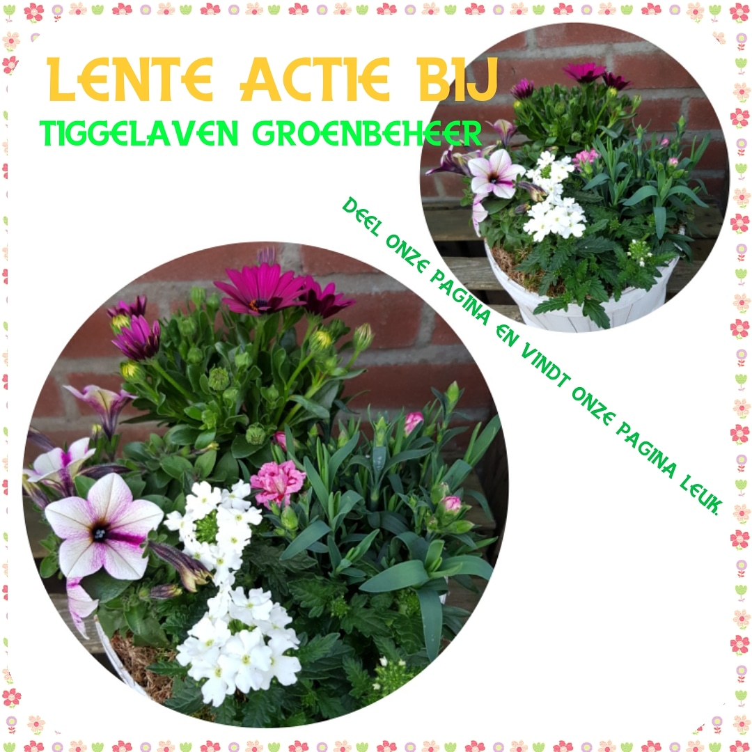 Lente actie bij Tiggelaven Groenbeheer!!