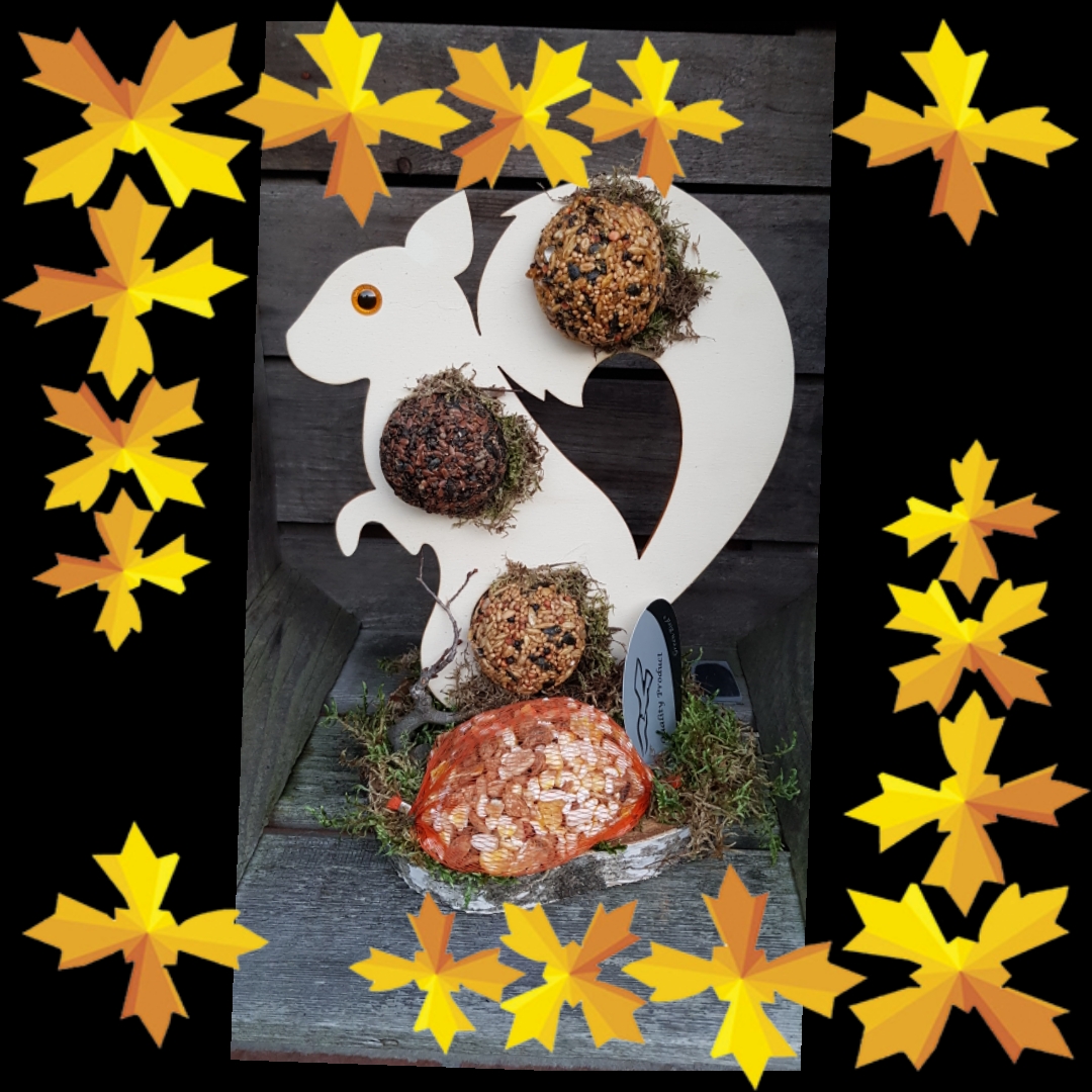 Vogel verwen pakket winnen!!