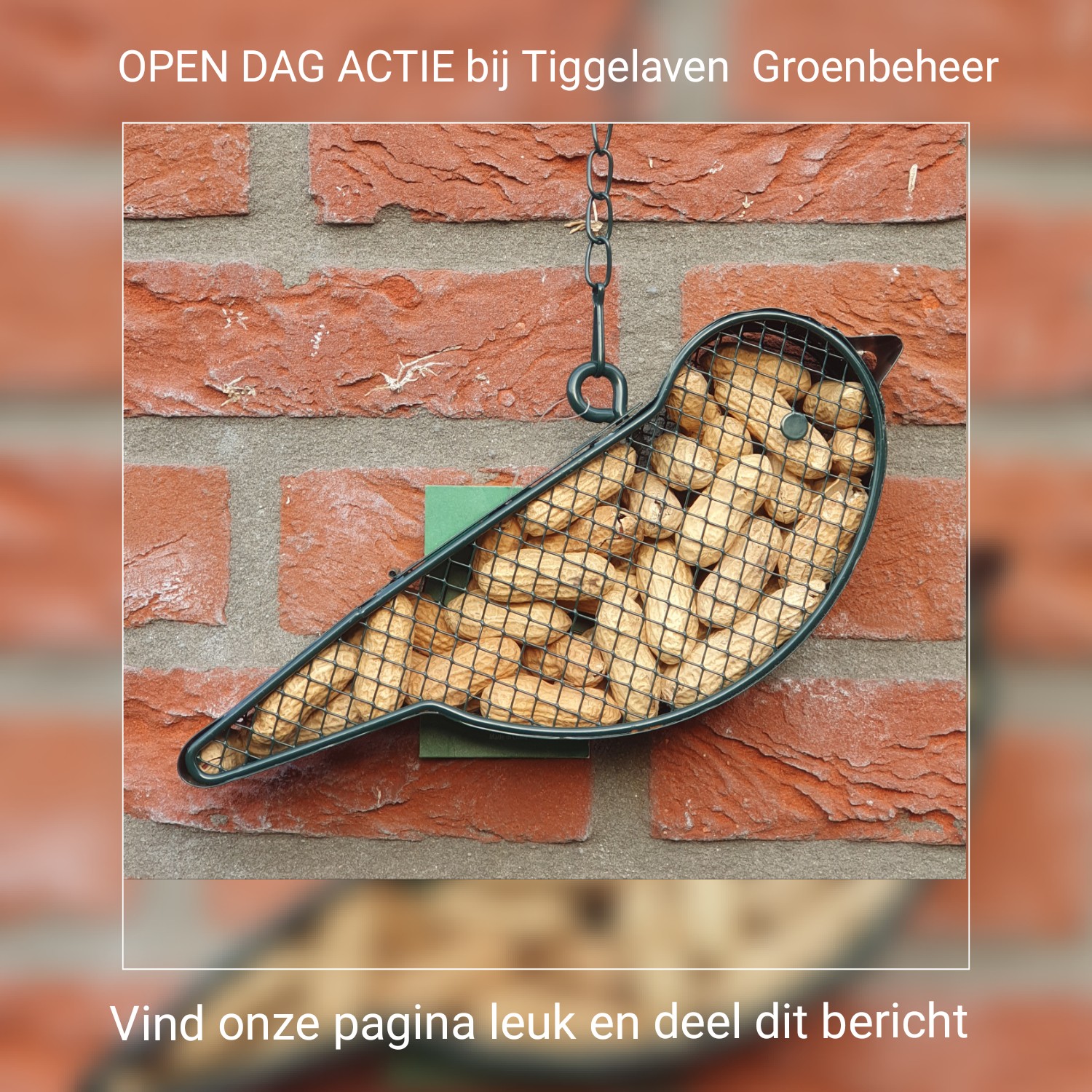 OPEN DAG ACTIE Facebook!!