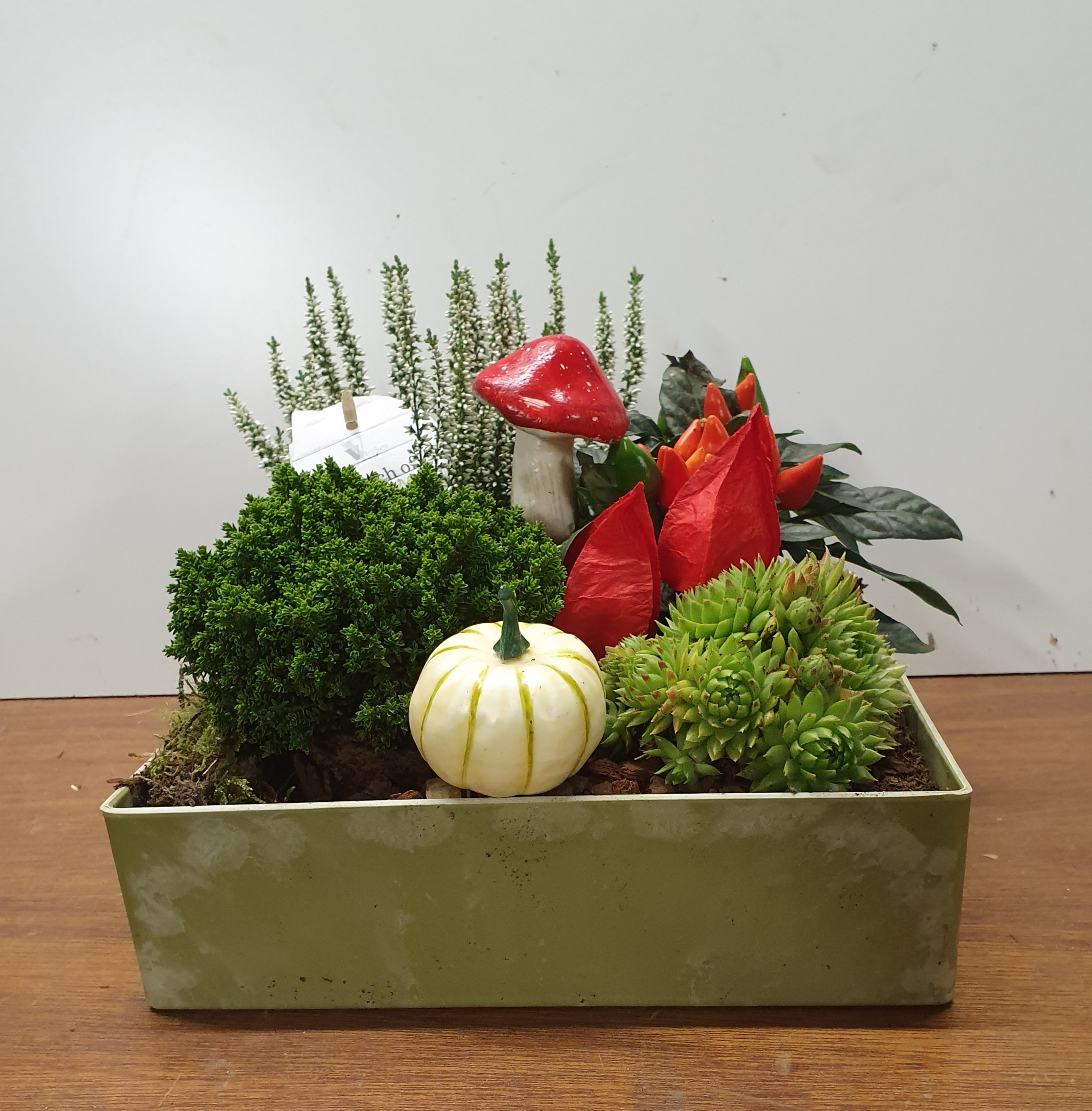 Verloten prijzen op Open Dag!!