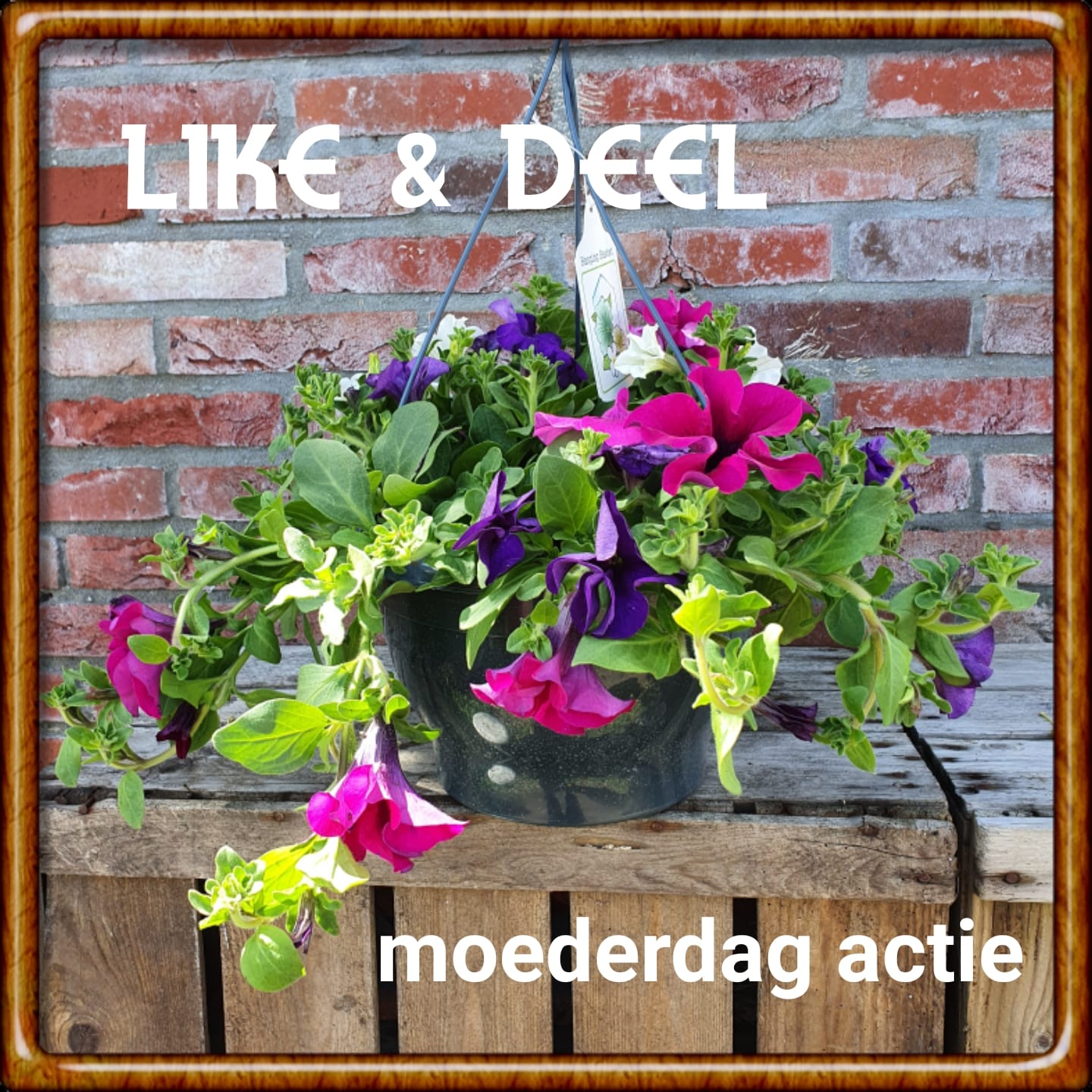 Moederdag actie 