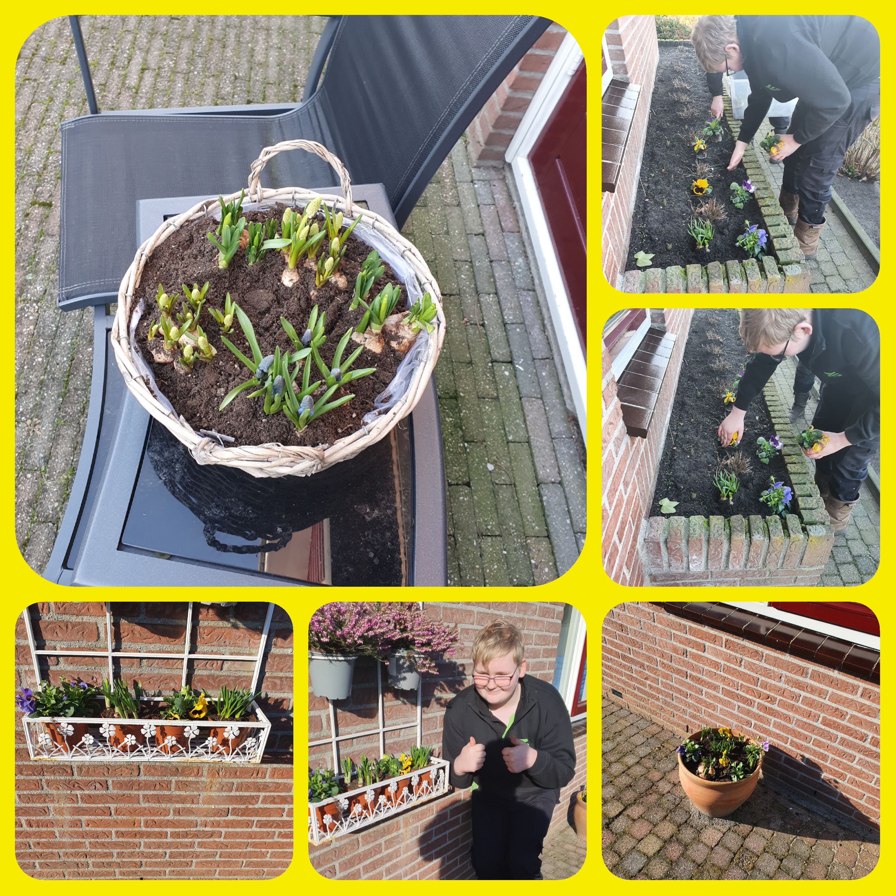 Bloembakken opgevuld.