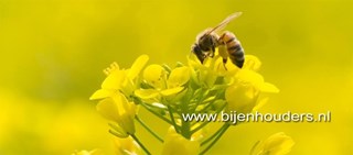 FB_IMG_1758658812677