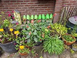 IMG-20250927-WA0097