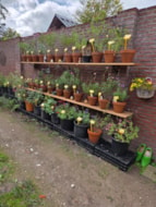 237999